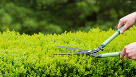 SEC Prunes Use of Hedge Clauses