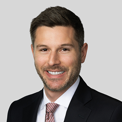 Portrait of Michael Schapiro