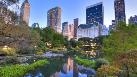 Ex-Oppenheimer Counsel Joins Stradley Ronon in NY